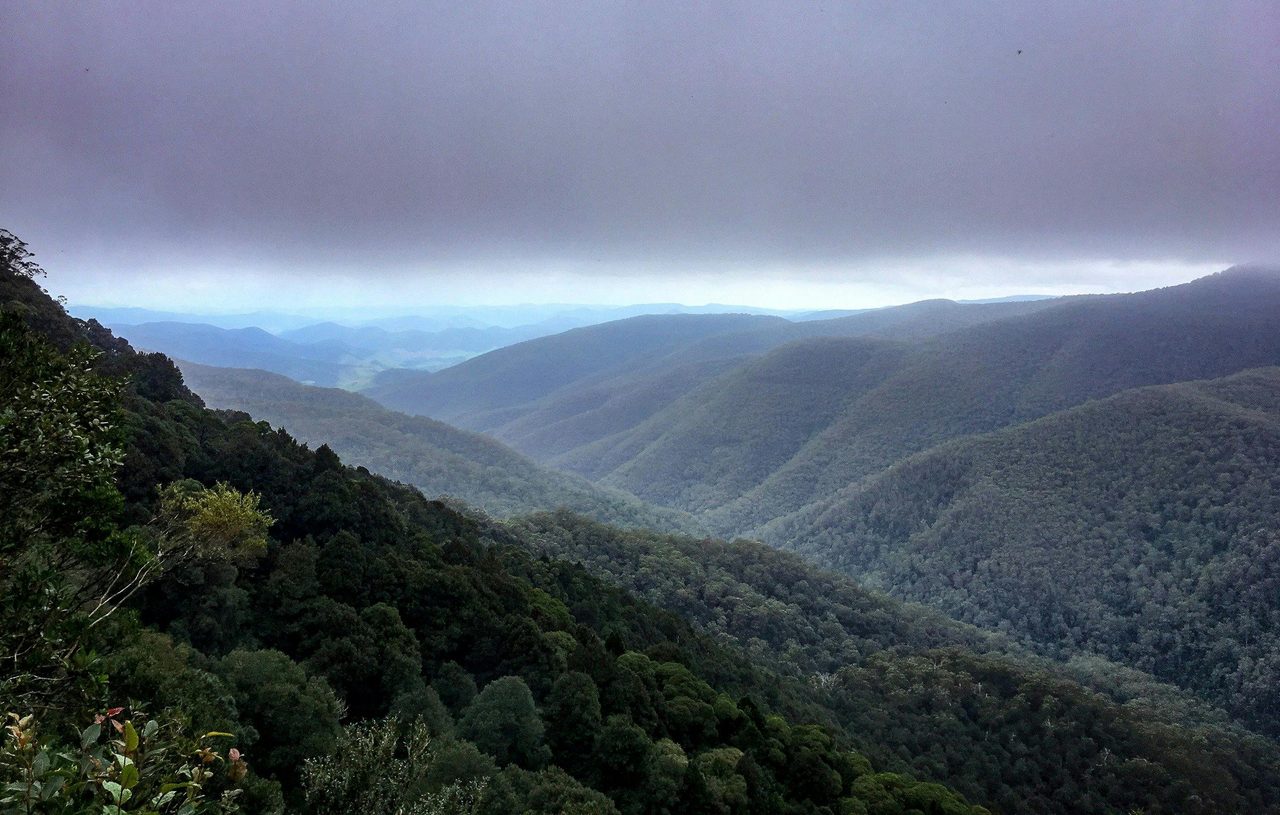 Views from Barrington Tops State Forest