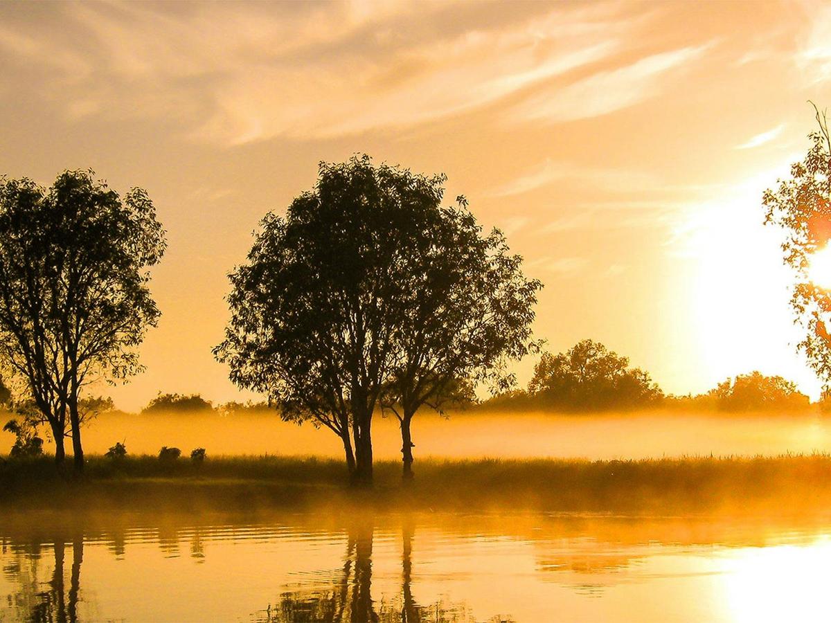 Kakadu National Park Explorer | Full Day Tour