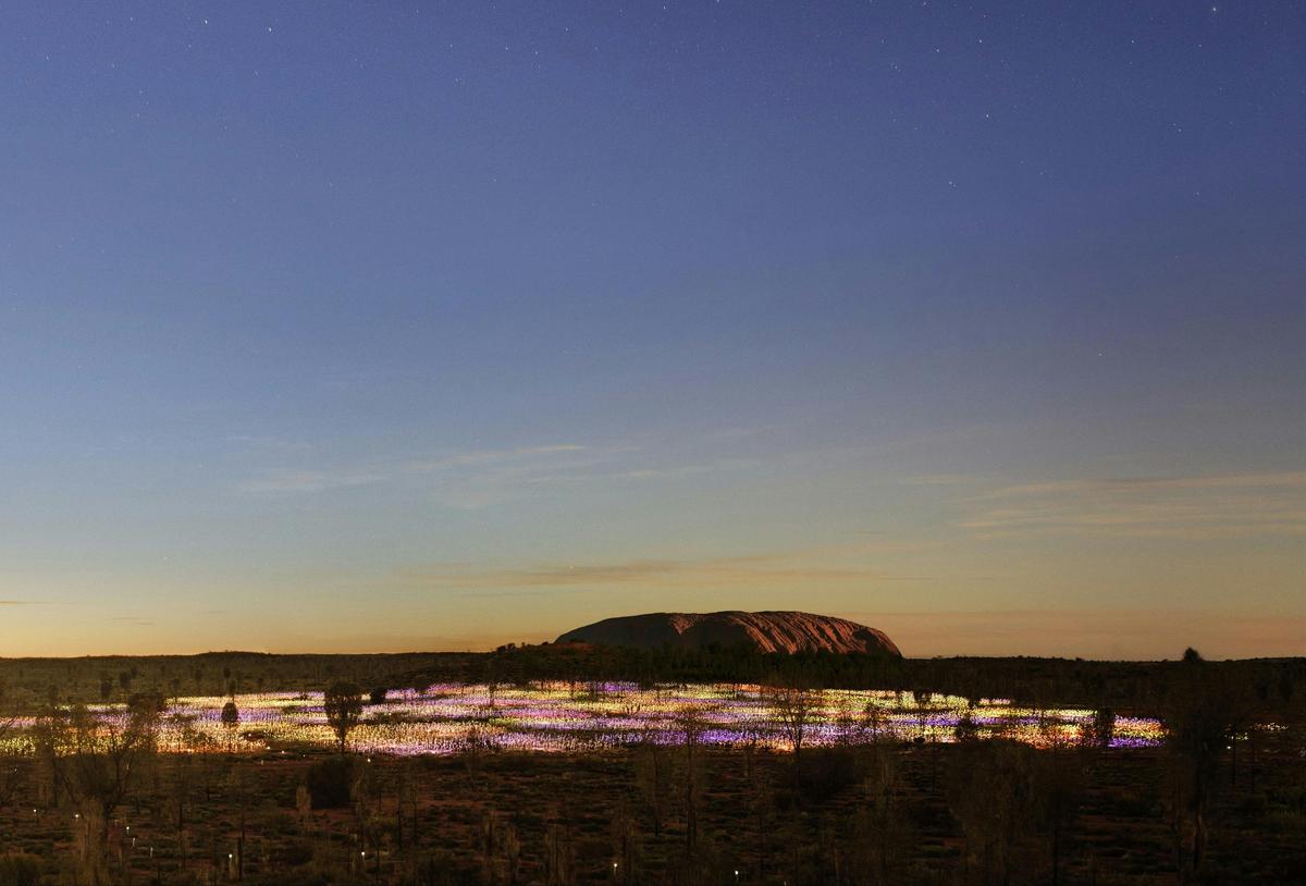 Field of Light Tours