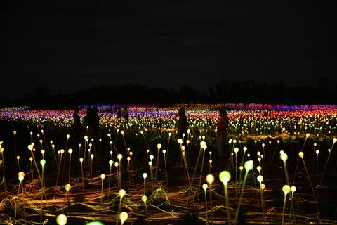 Field of Light General Admission