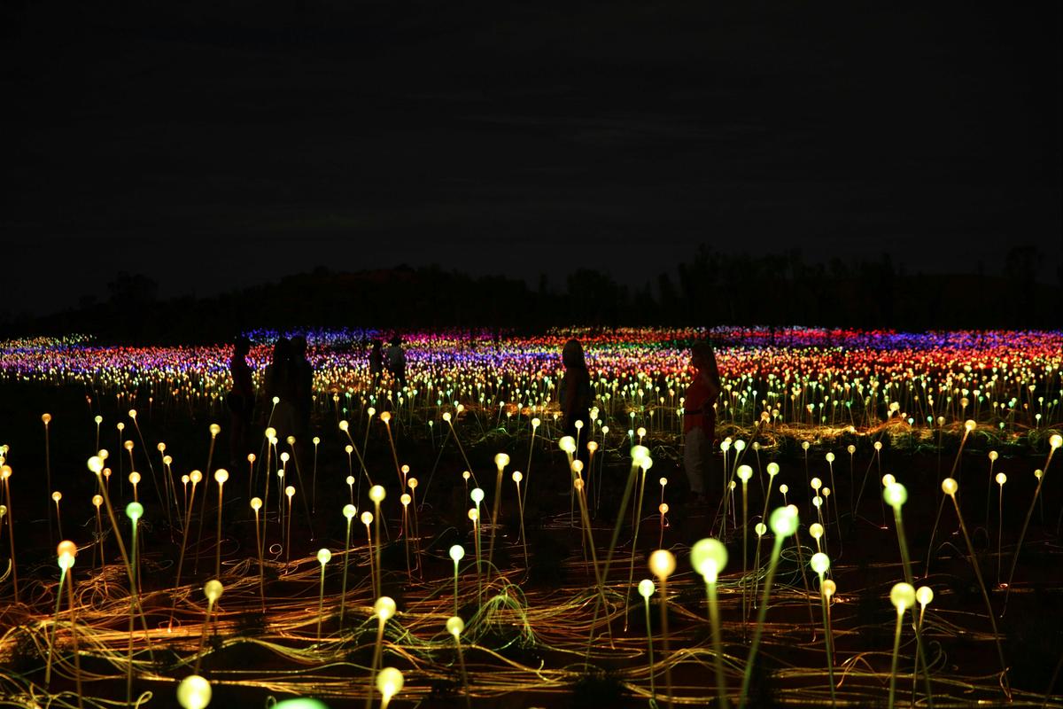 Field of Light General Admission