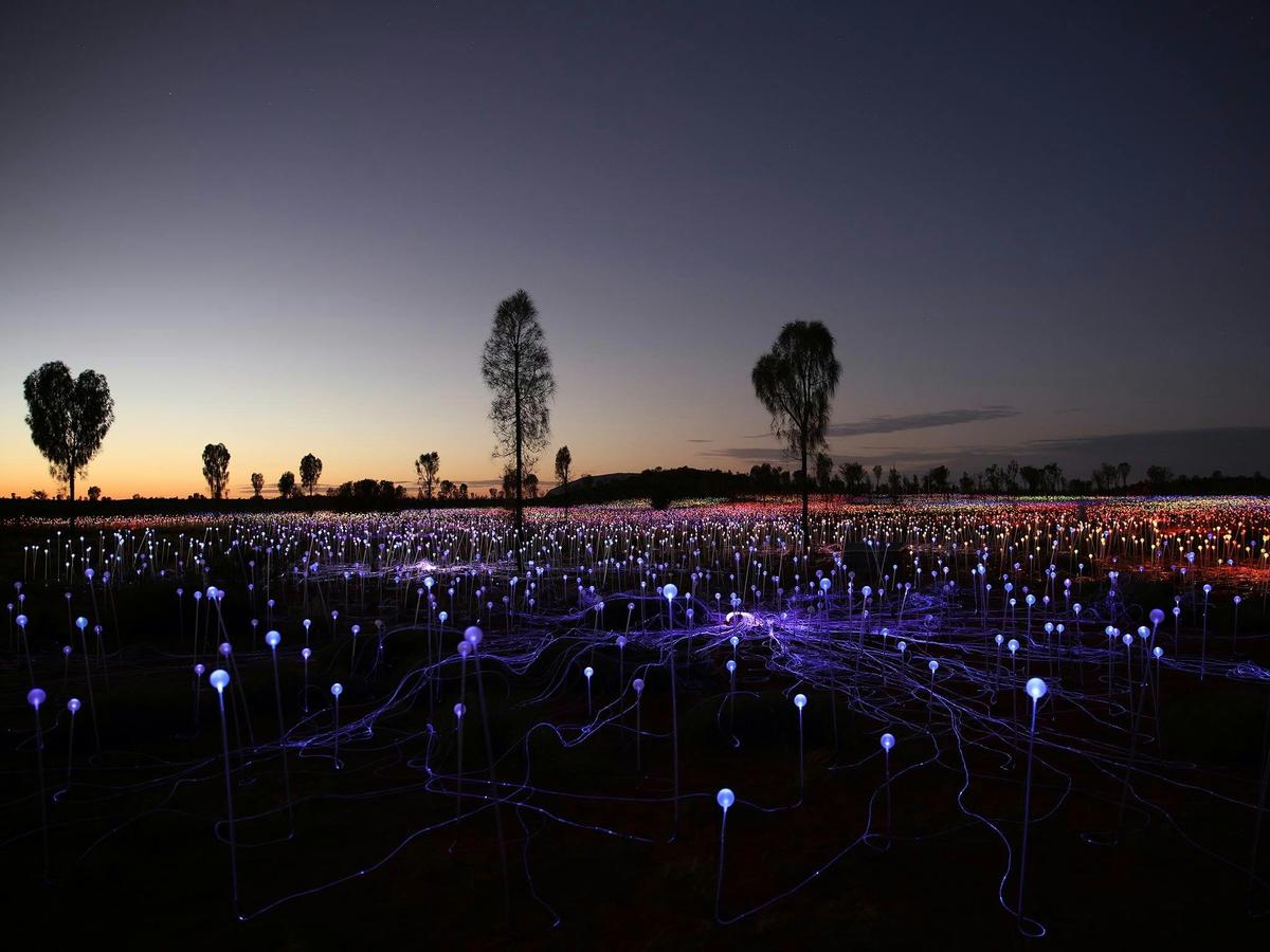 Immerse yourself in the Field of Light