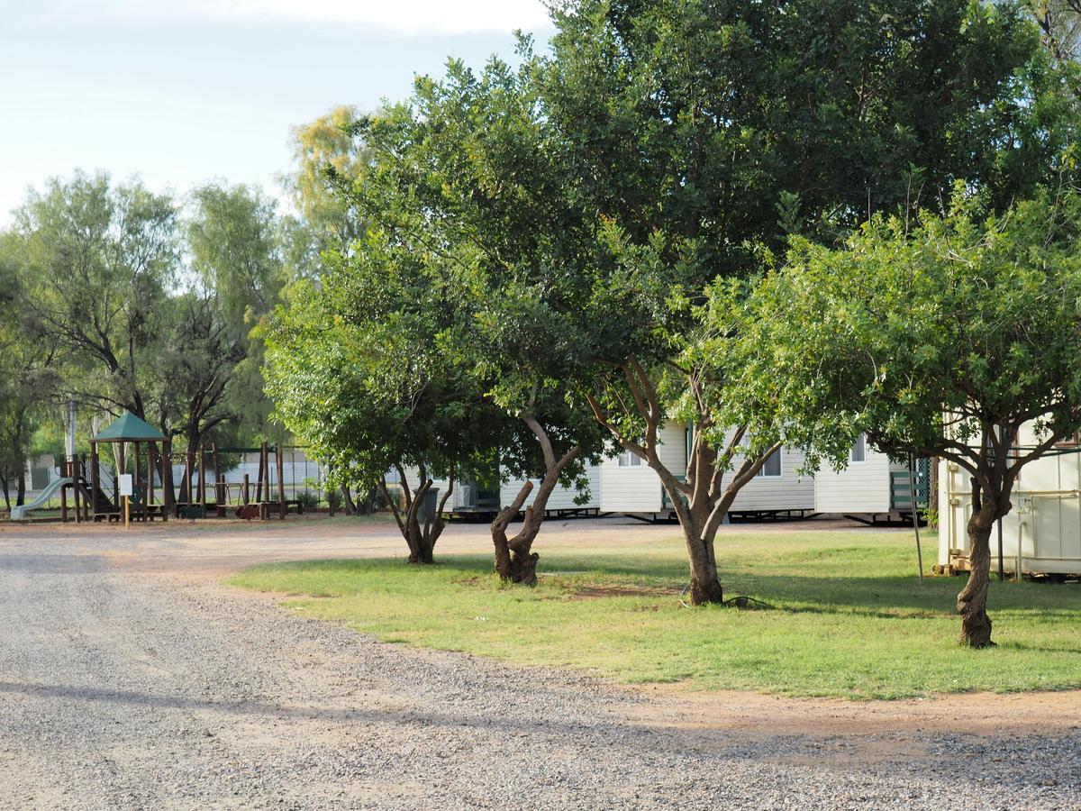 Grassed shady sites