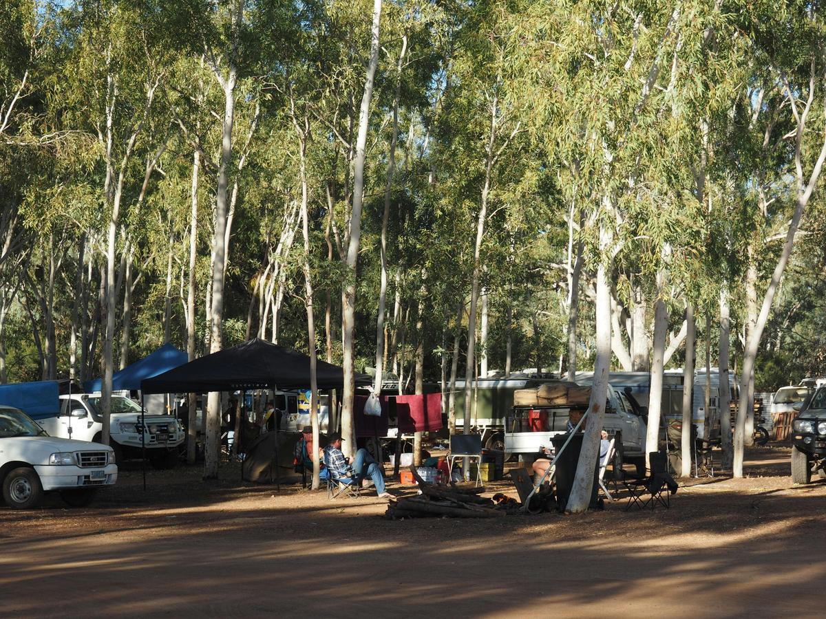Bush Camping