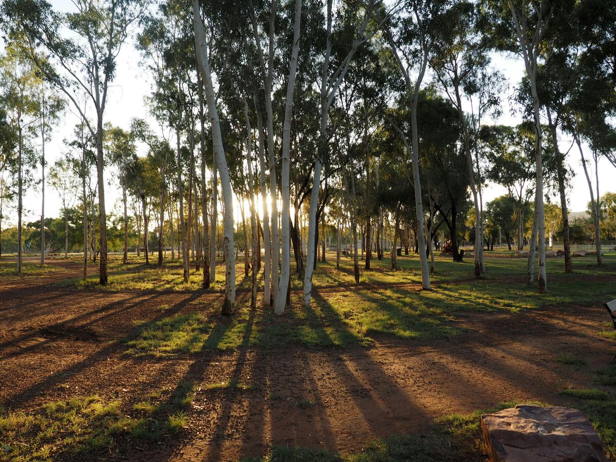Bush Camping