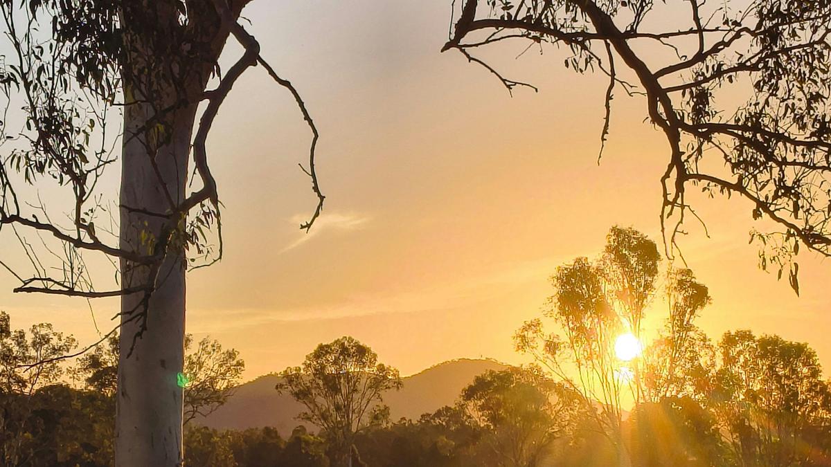 SUNRISE FROM THE SITE - Start the day with golden sunrise light over the paddocks and the sounds of the bush waking around you.