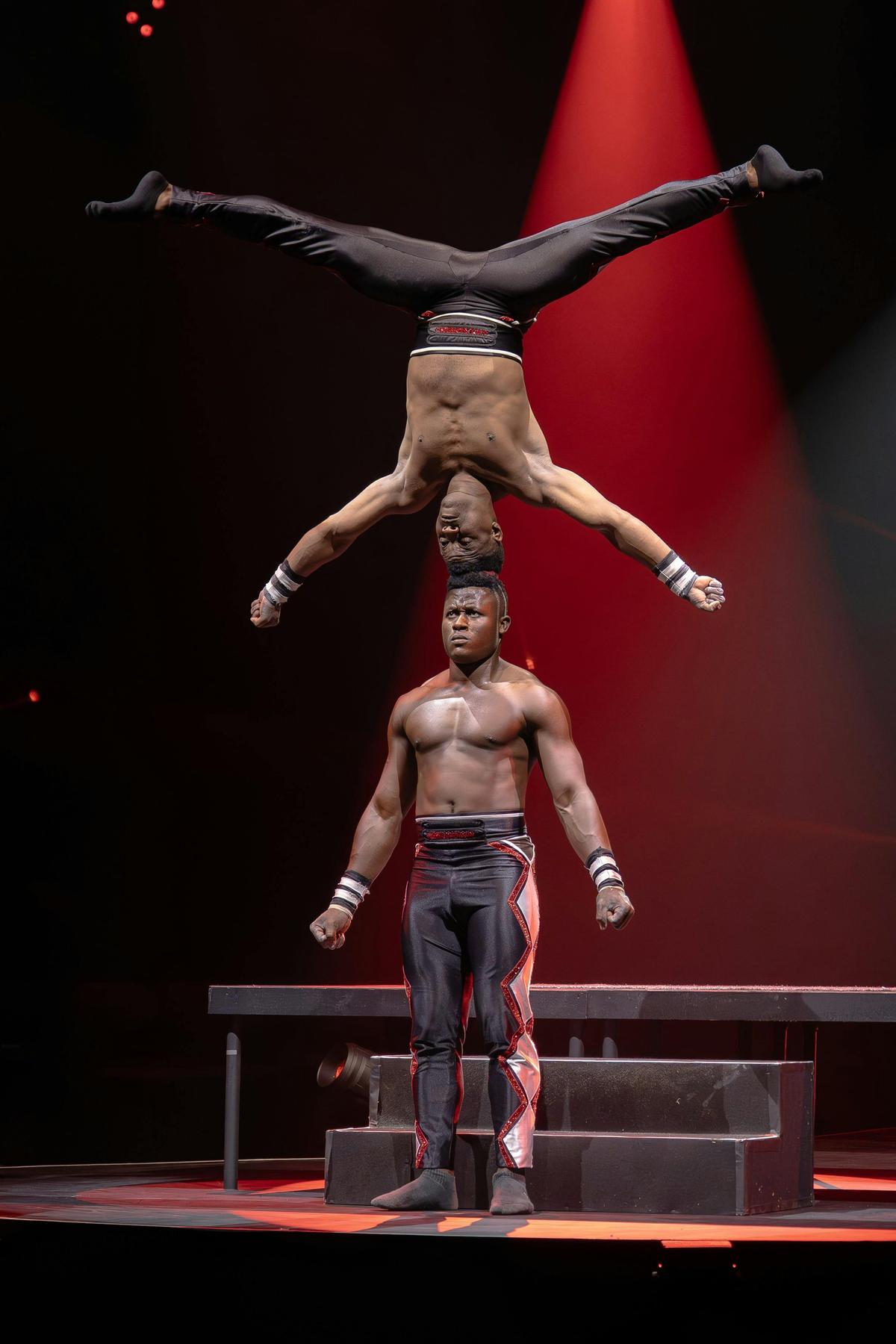 Cirque Alice