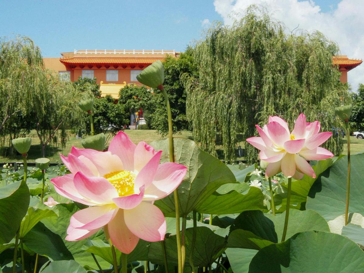 Pilgrim Lodge and lotus pond in bloom