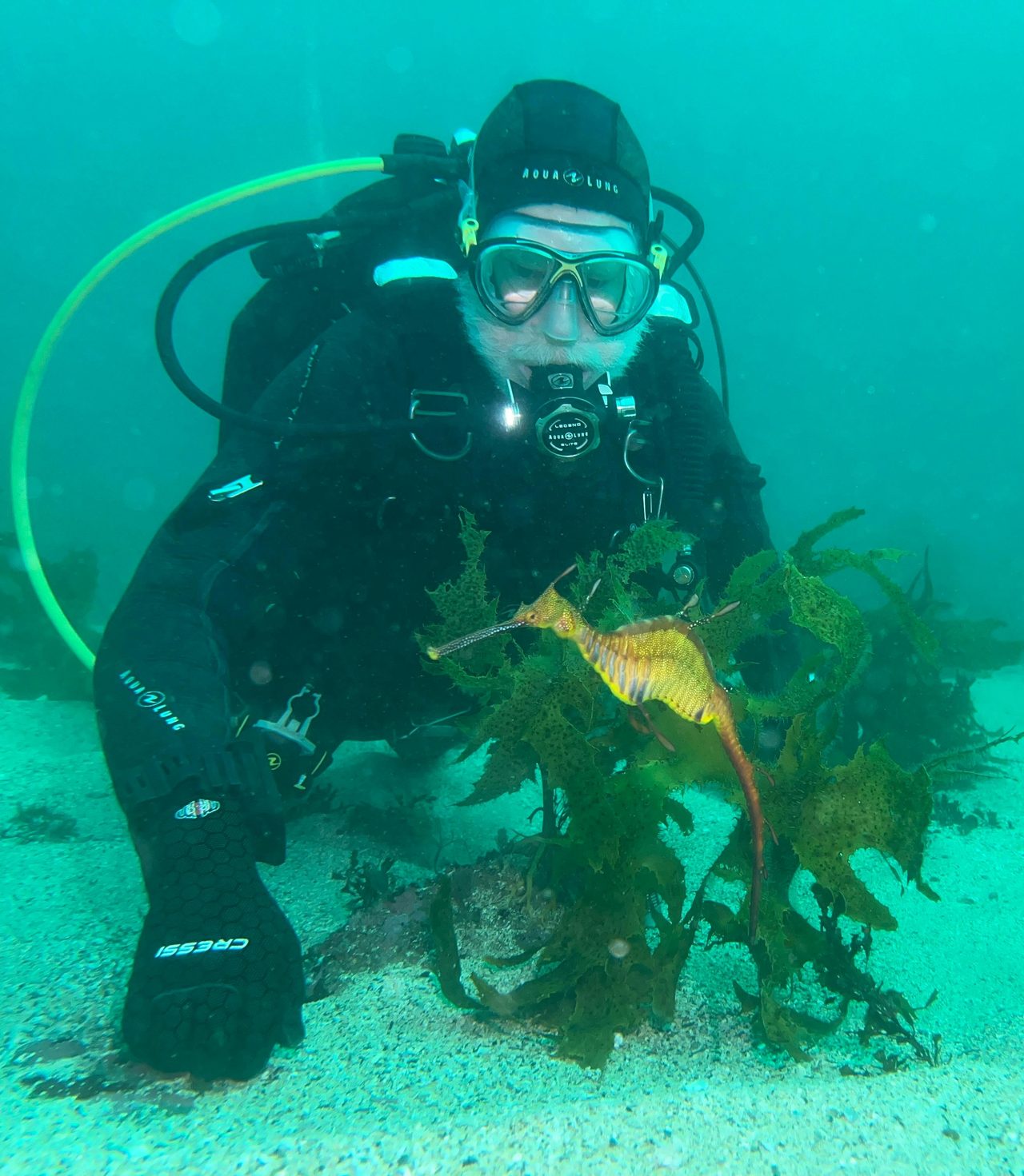 Diver with Weedy