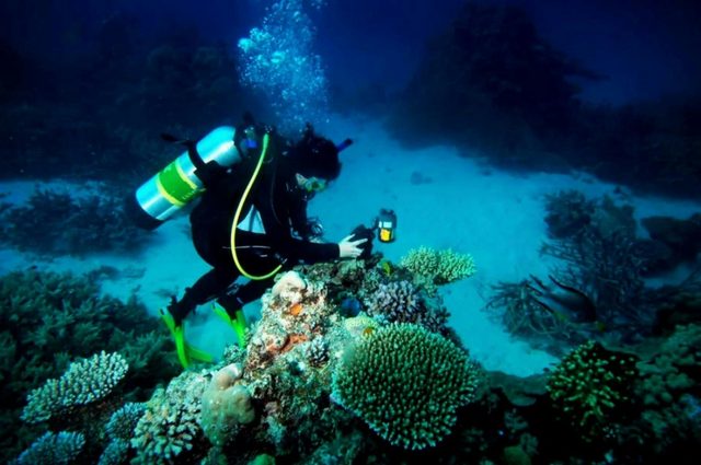 Shellharbour Scuba  and Photography Centre