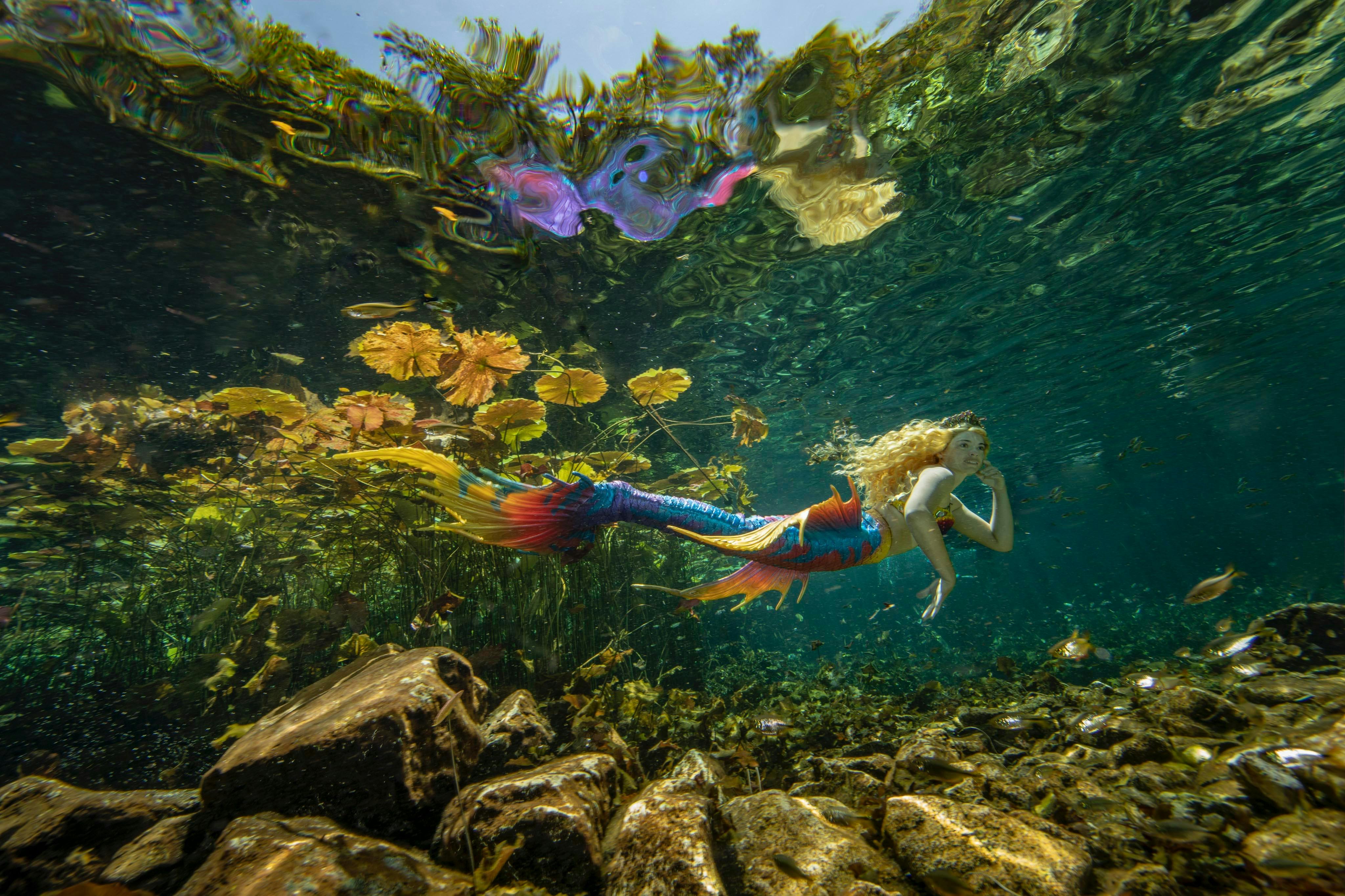 Mermaid at Bass Point