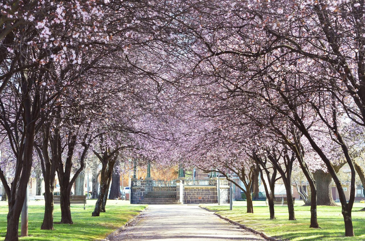 Robertson Park