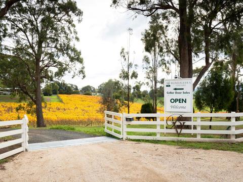 Bundaleera Vineyard
