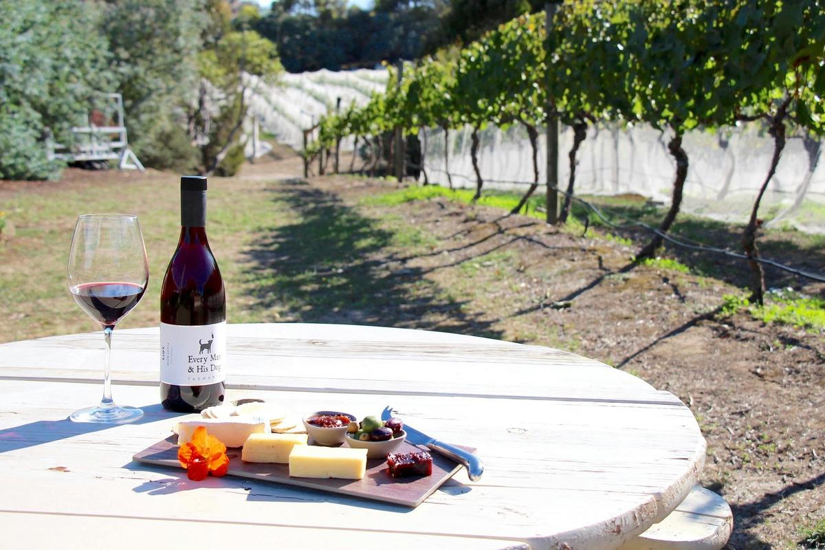 Wine and cheese platters are available from the Cellar Door at Every Man and His Dog Vineyard