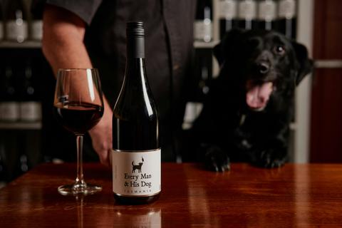 Every Man and His Dog Vineyard