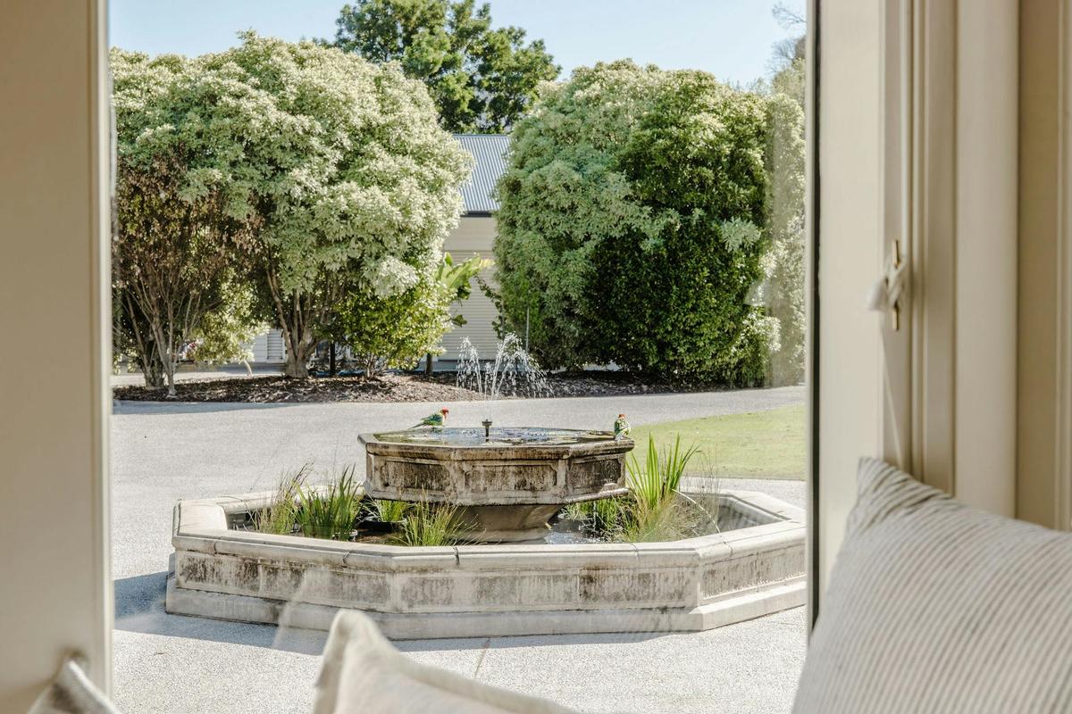 A view of the birds in the driveway fountain, as seen from the second bedroom window