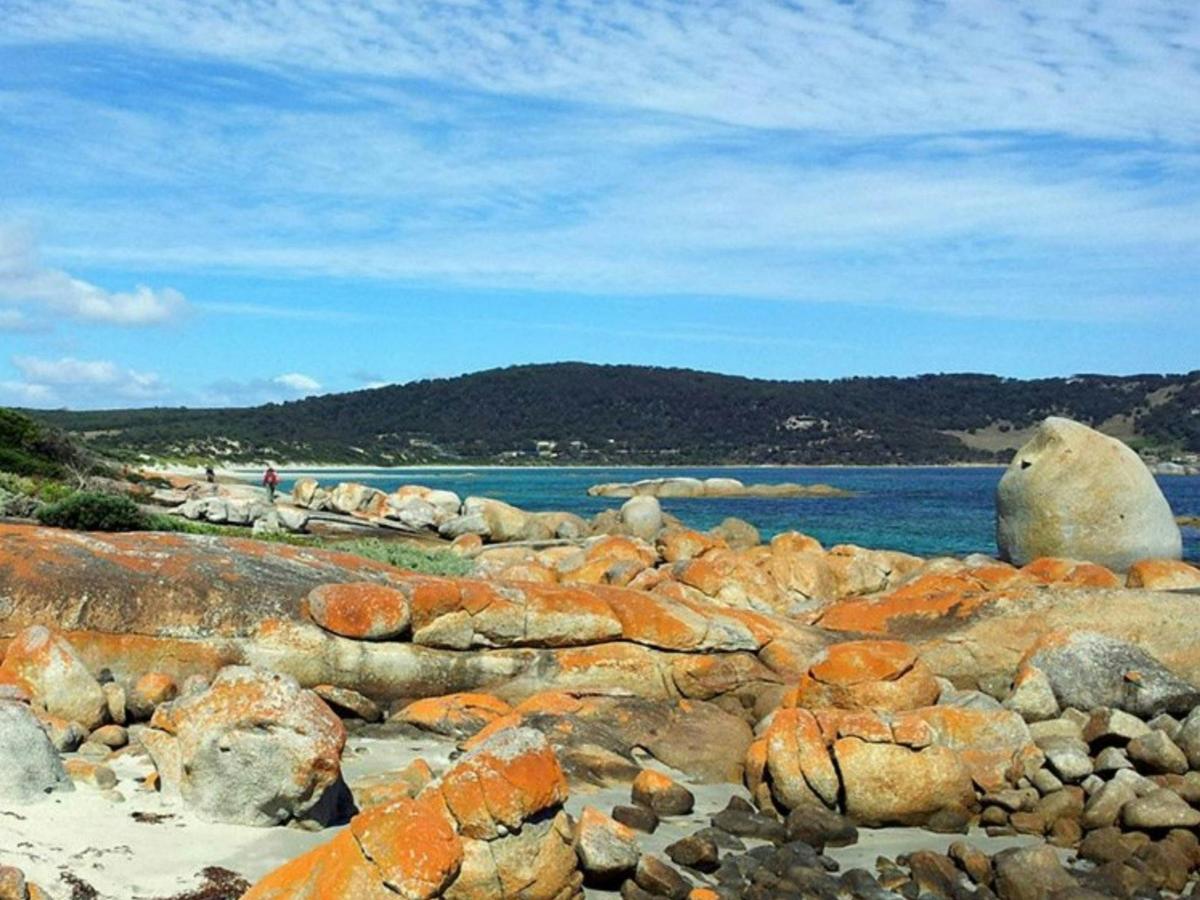 Flinders Island 7-Day - Group-Guided