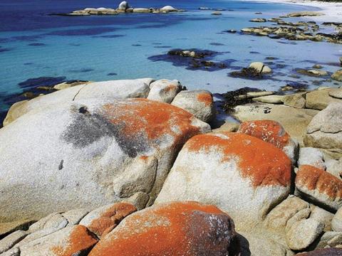 Bay of Fires, Freycinet, Wineglass Bay & Three Capes - 7 Day - Group-Guided