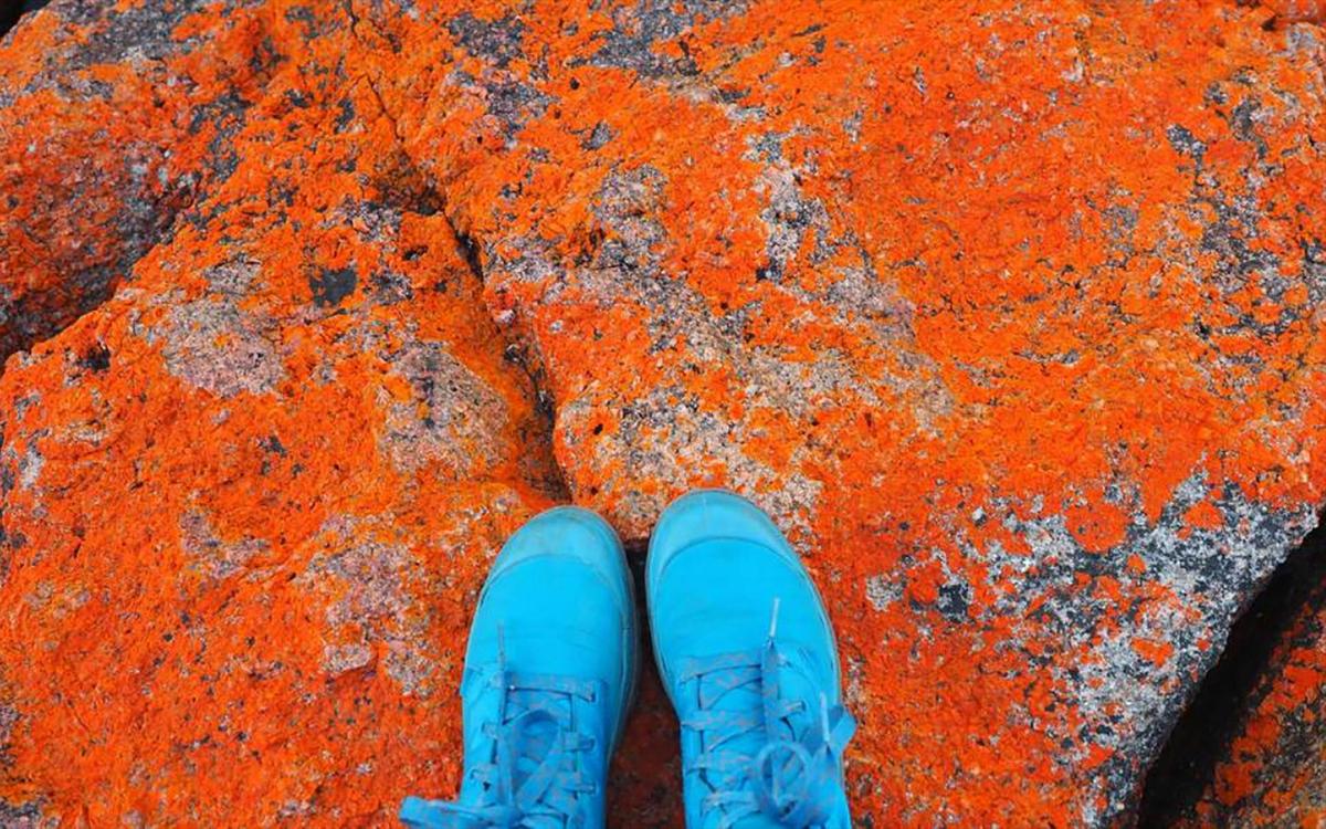 Freycinet Peninsula Walk 3 days - Self-Guided