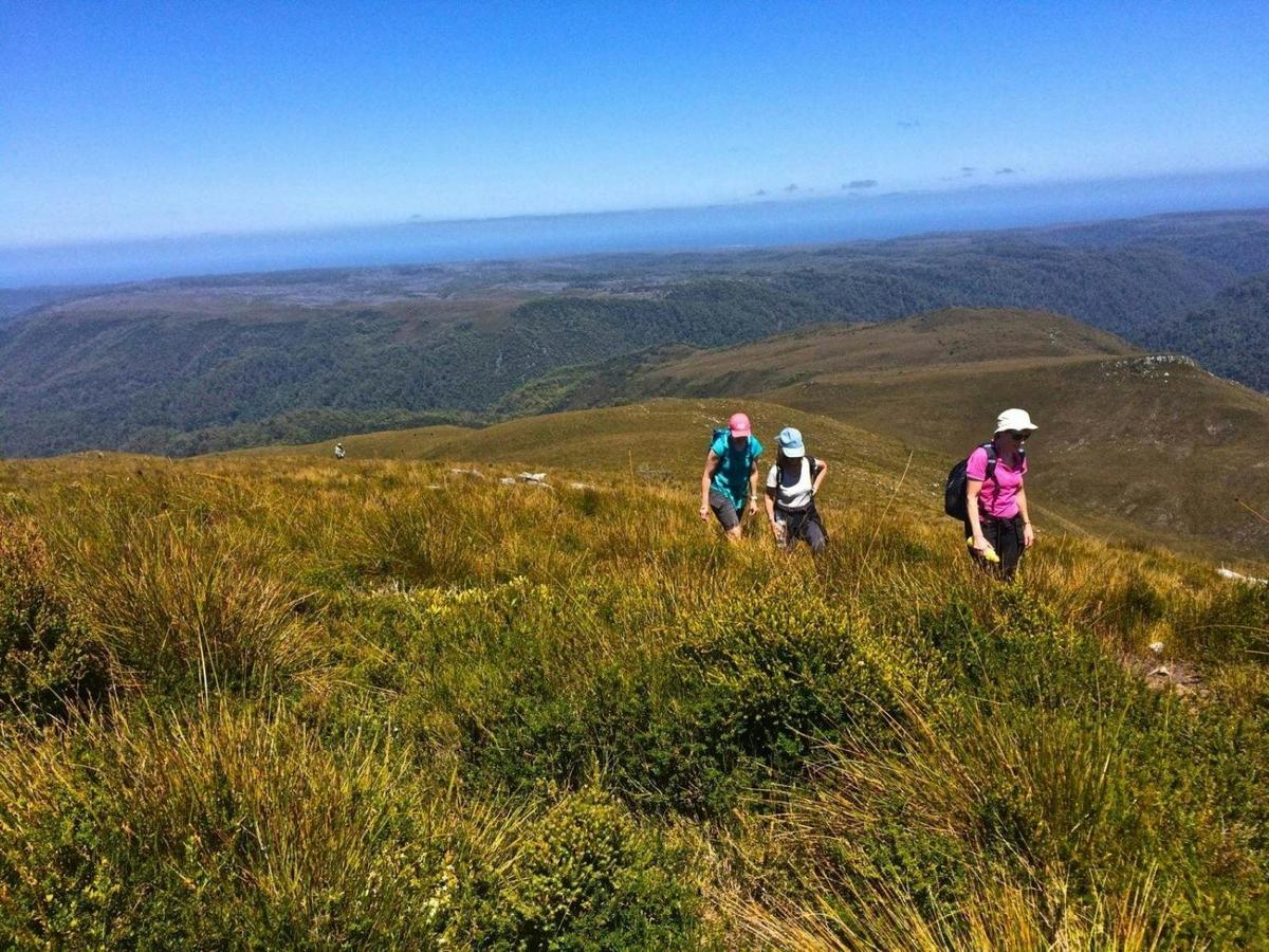 The Tarkine and Cradle Mountain Explorer - 6 Days Group Guided