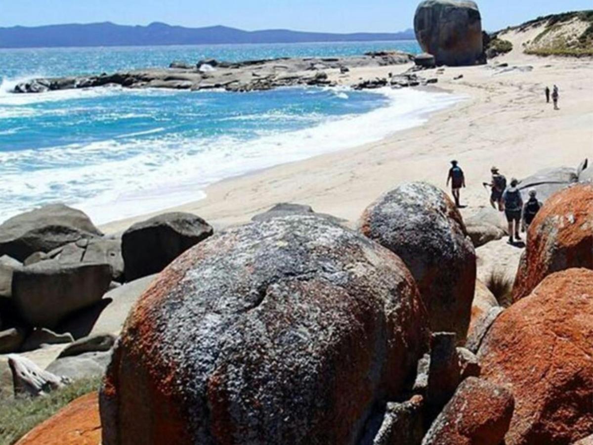 Flinders Island Long Weekend 5-Day - Group-Guided