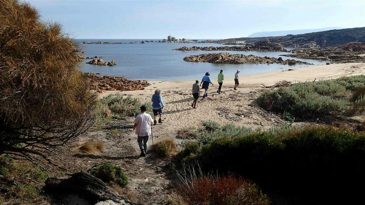 Bruny Island Explorer - 4 Days Group Guided