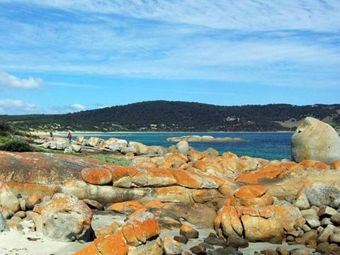 Flinders Island Long Weekend 5-Day - Group-Guided