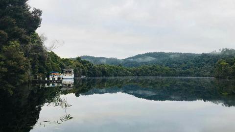 The Tarkine Wilderness Walk - 4 Days Group Guided