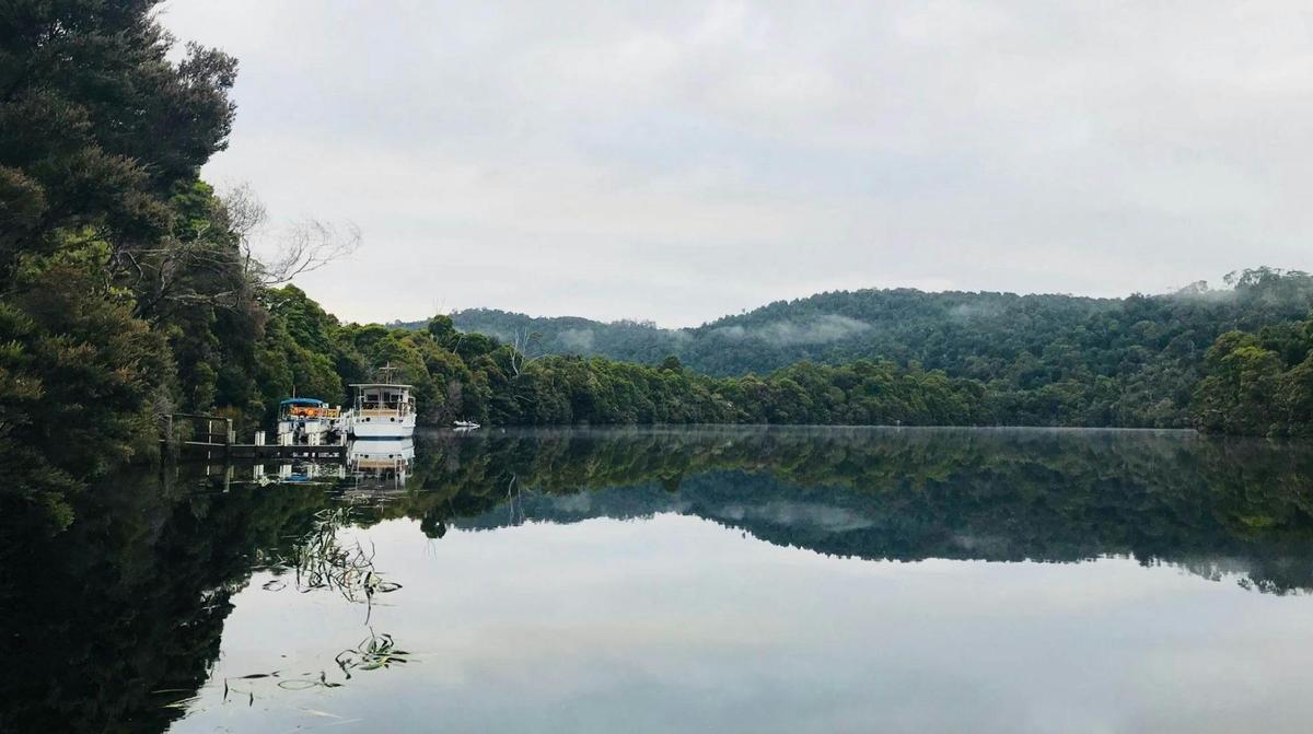 The Tarkine Wilderness Walk - 4 Days Group Guided