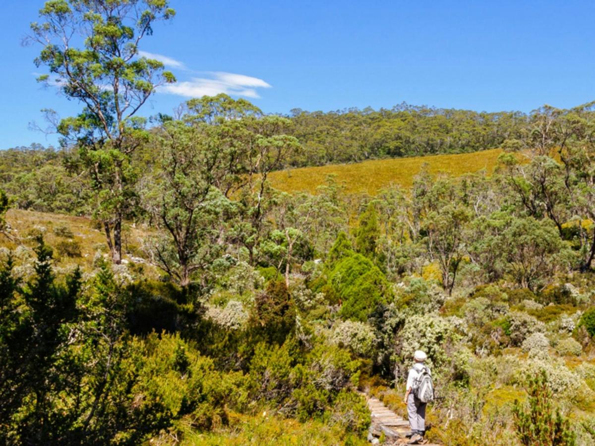 Cradle Mountain & Lake St Clair - 6 Day - Self-Guided