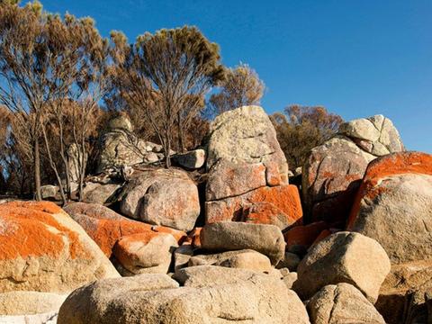 Bay of Fires & Freycinet - 4 Day - Group-Guided