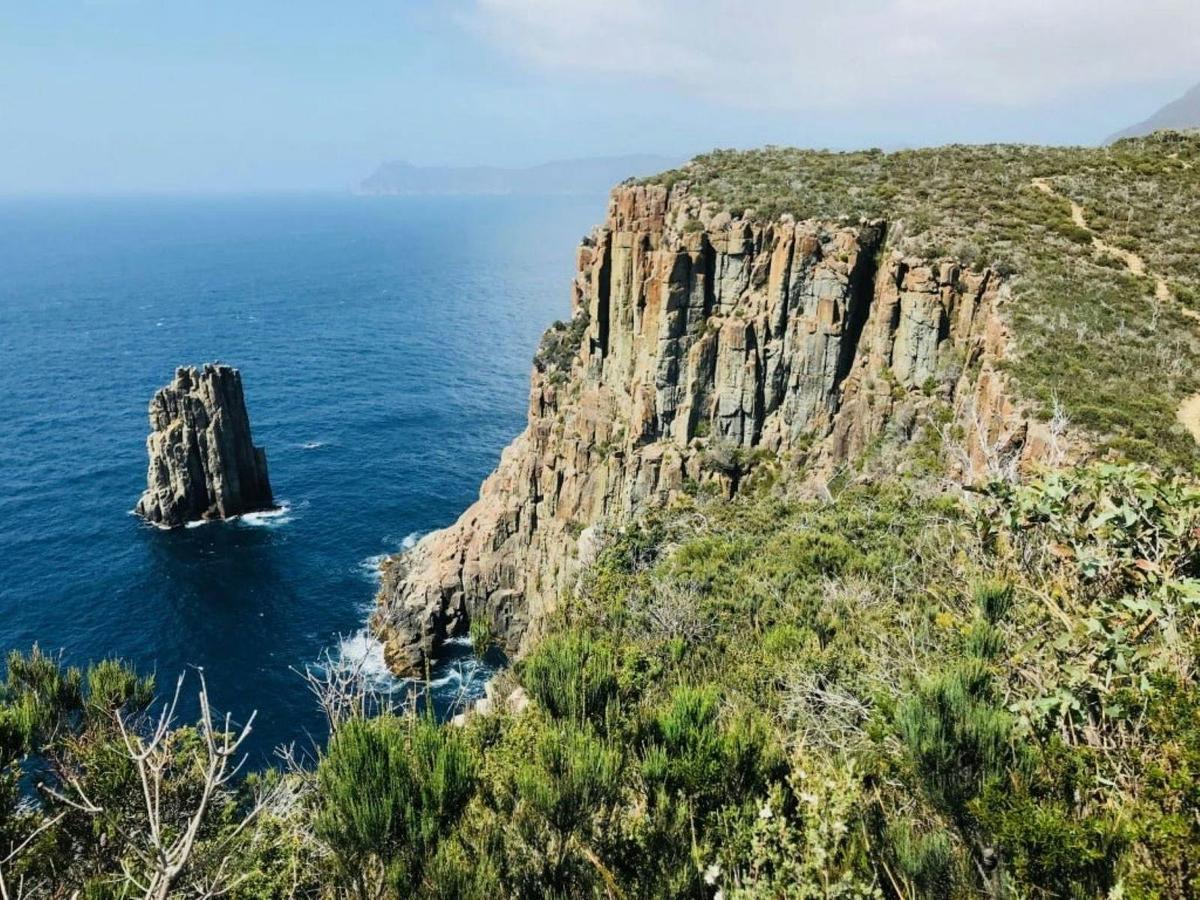 Three Capes, Mount Brown and Port Arthur - 5 Days
