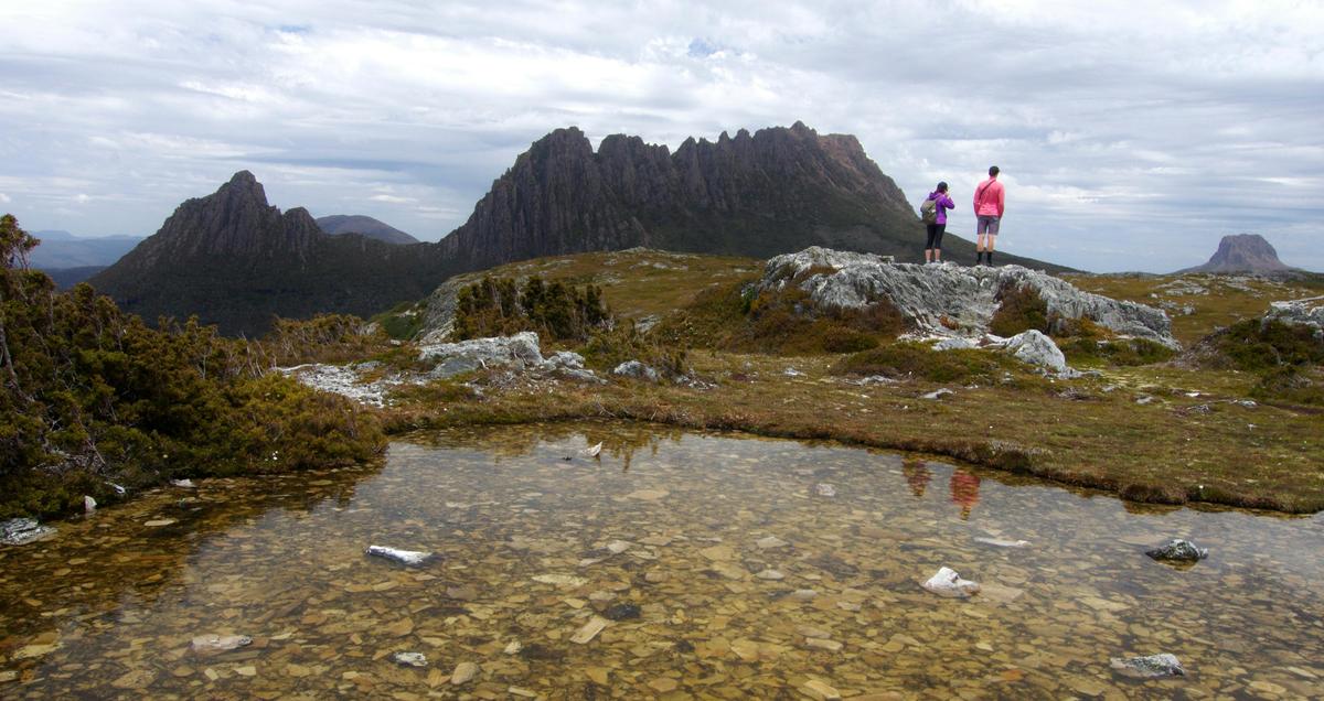The Tarkine and Cradle Mountain Explorer - 6 Days Group Guided