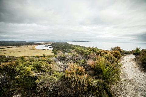 Archers Knob - Great Short Walk