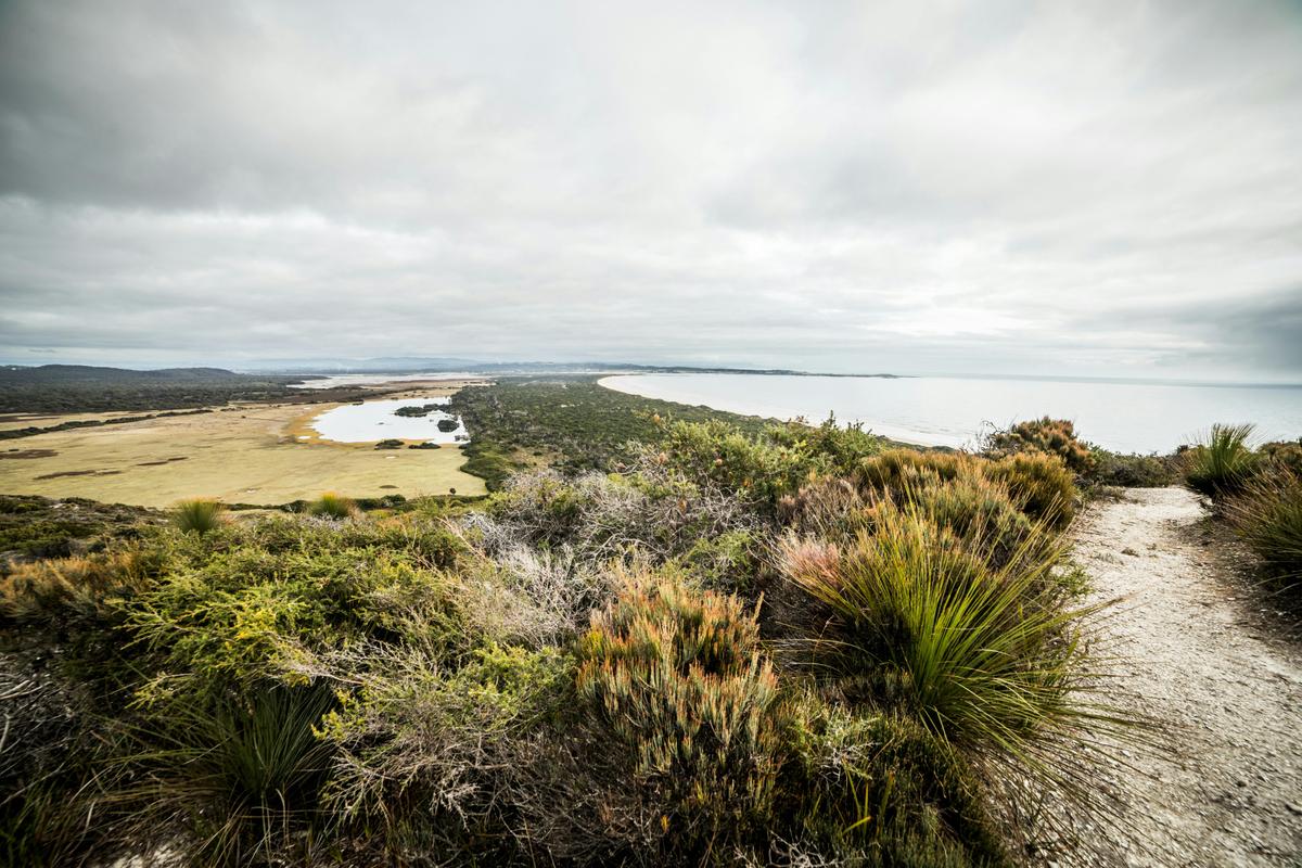 Archers Knob Track
