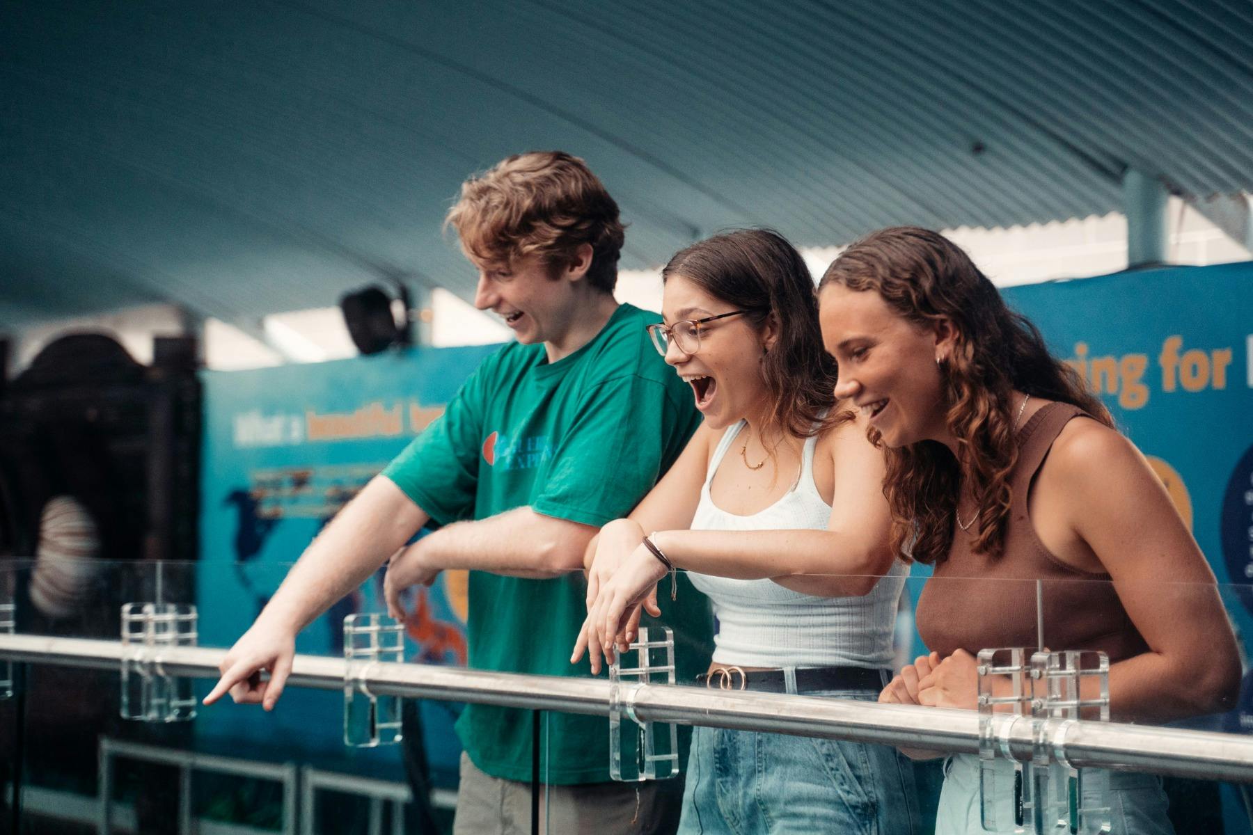 Discover Sydney's Aquarium