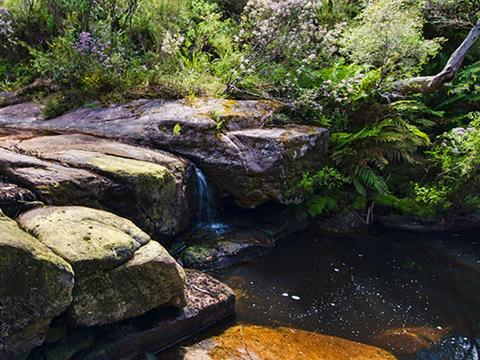 Barren Grounds Nature Reserve