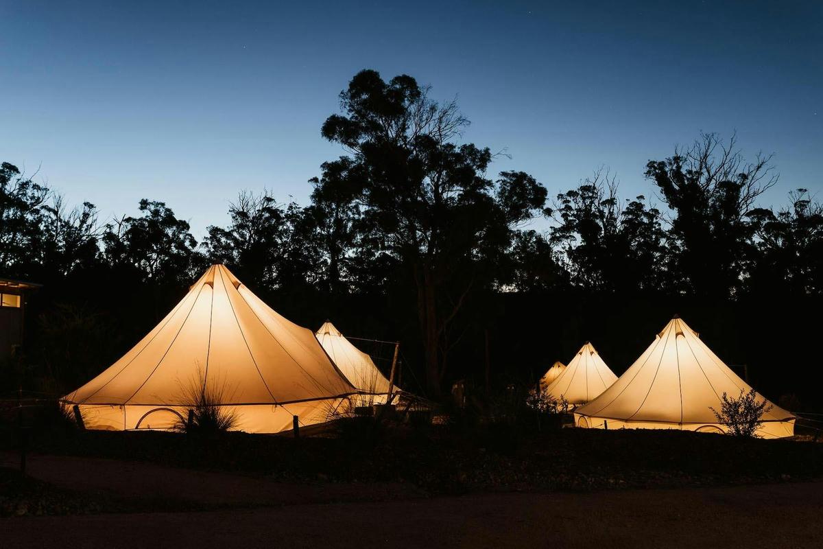 Bell Tents by Night