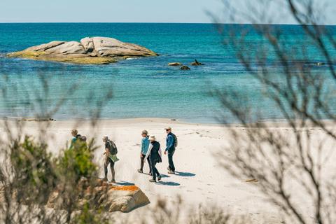 Bay of Fires Day Walking Tours