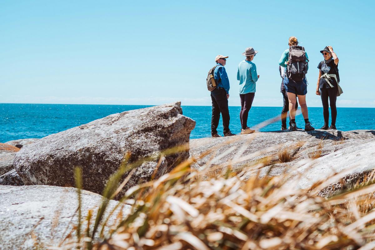 Guests enjoying a scenic lookout to the sea on a guided day walk in the Bay of Fires