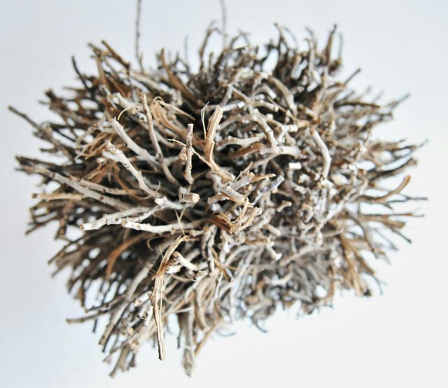 Serpentine Community Gallery