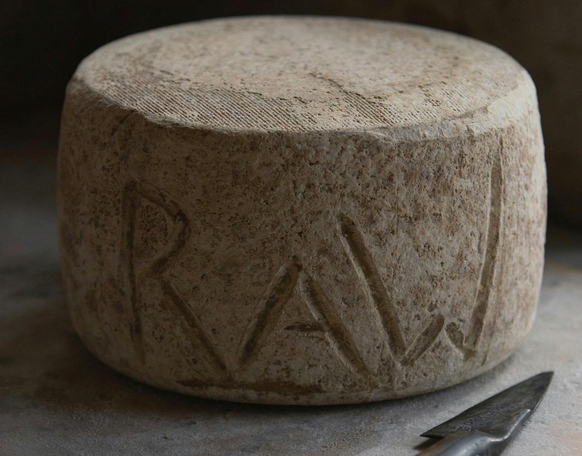 Raw Milk C2, the first raw milk cheese produced in Australia