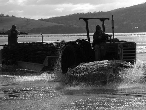 Barilla Bay Seafoods