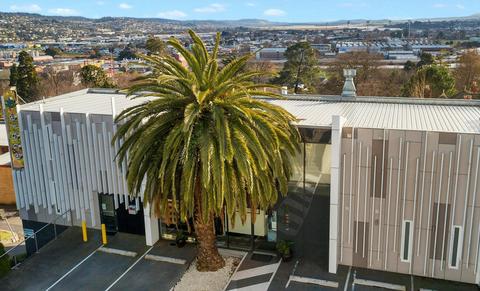 Areca Launceston