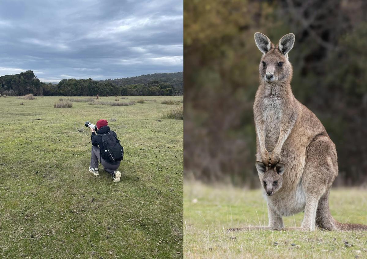 Narawntapu Day Walk