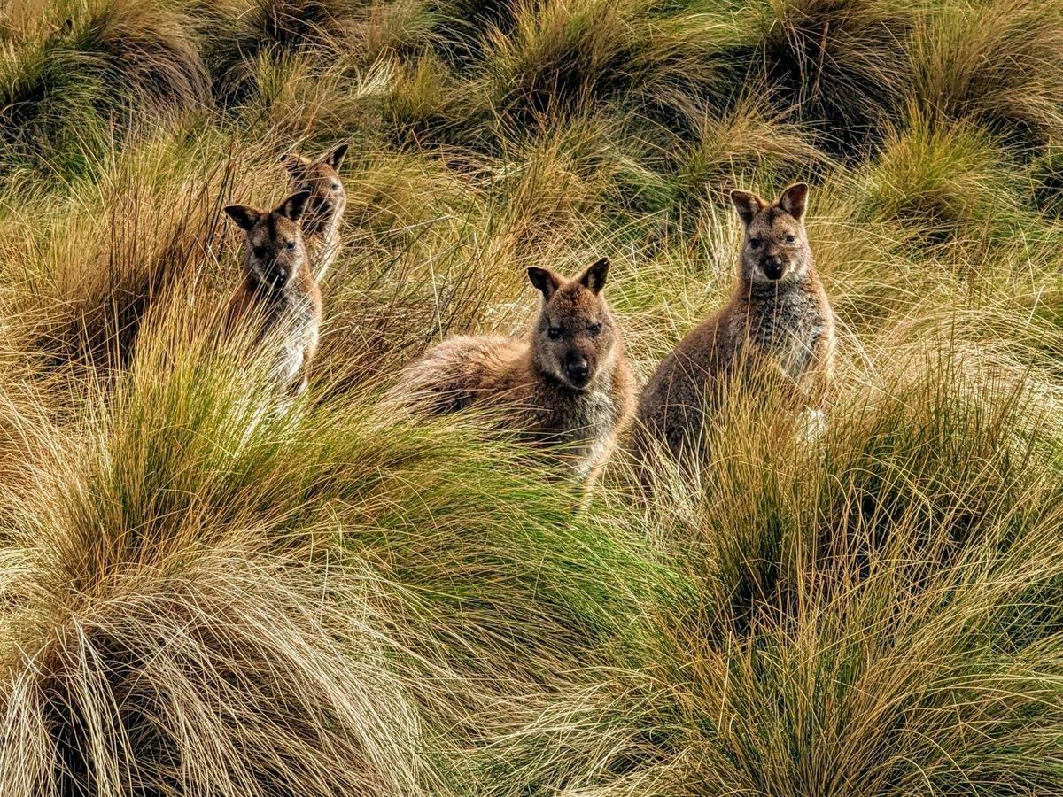 Flinders Island Photography Workshop