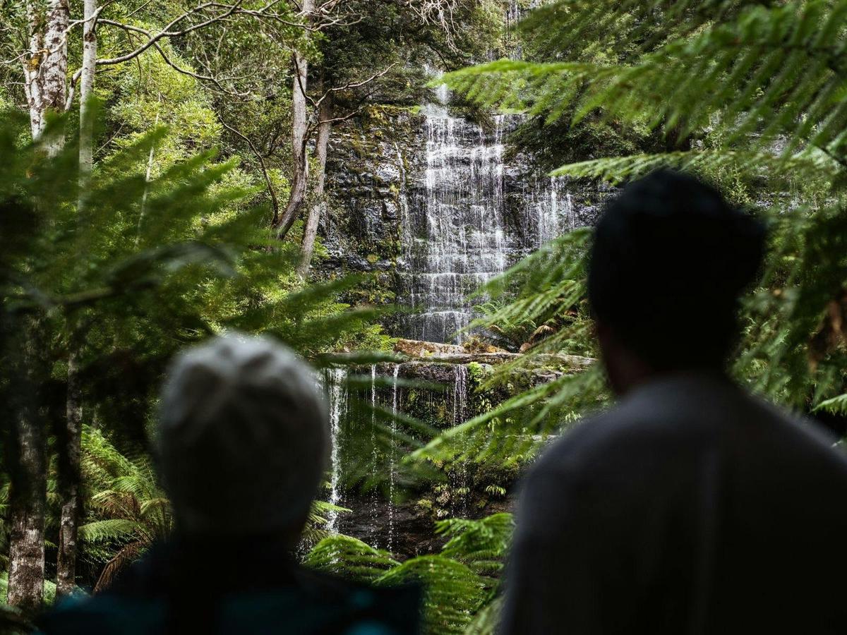 Tasmanian Highlights: Devils, Wombats and World Heritage