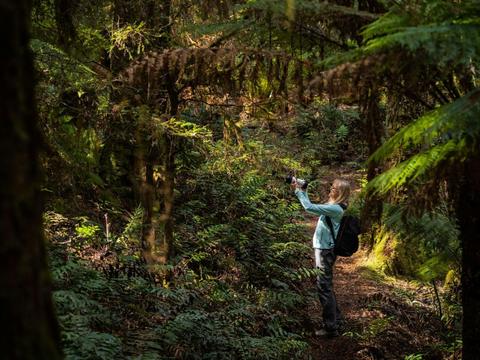 Takayna / Tarkine Photography Workshop