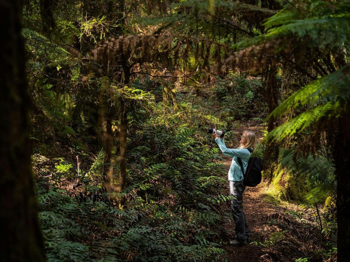 Takayna / Tarkine Photography Workshop