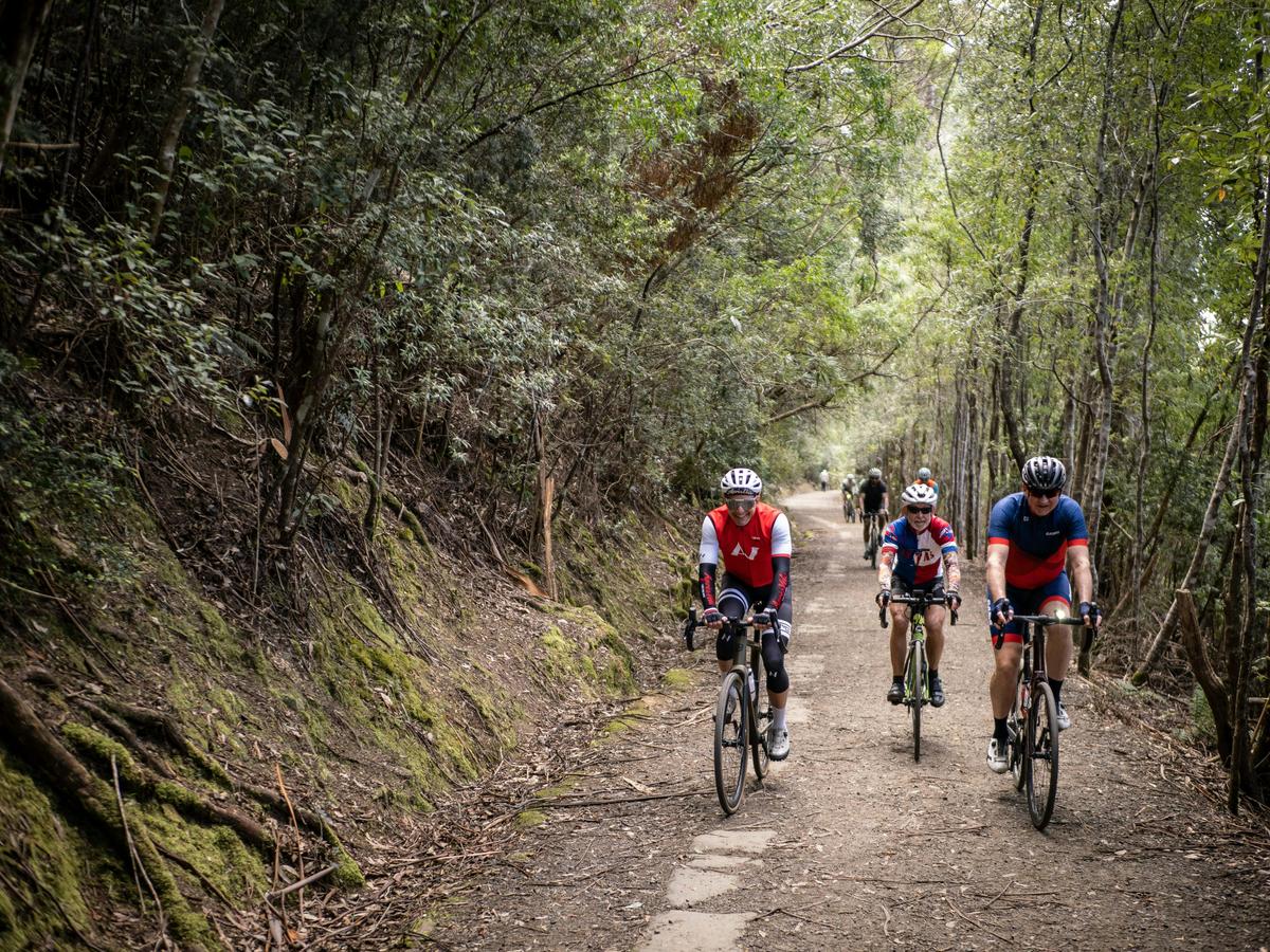 The Tasmania Grupetto Cycling Tour